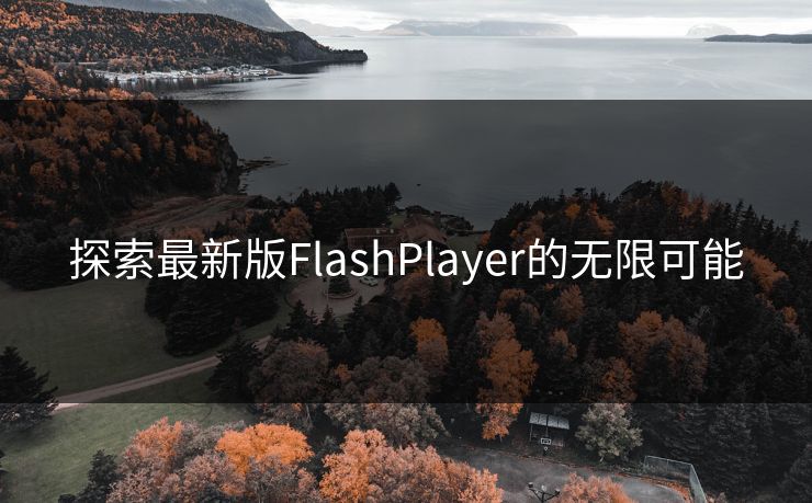 探索最新版FlashPlayer的无限可能 探索最新版FlashPlayer的无限可能