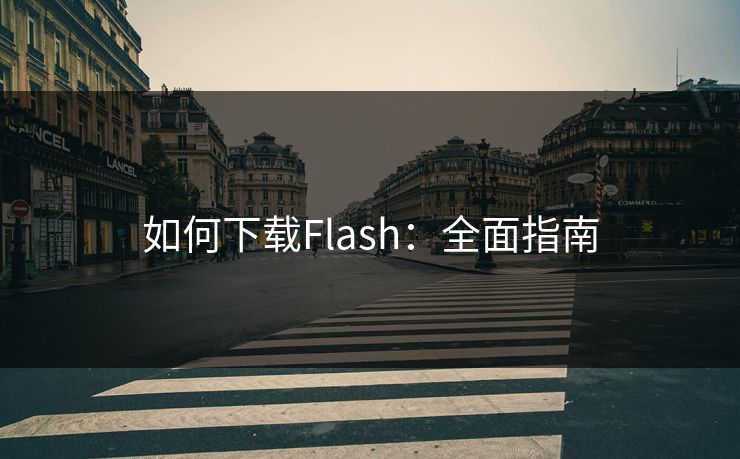 如何下载Flash：全面指南